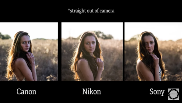 Evaluating Video Recording Quality: Canon vs Nikon vs Sony